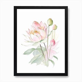 Lotus Flower Bouquet Pencil Illustration 1 Art Print