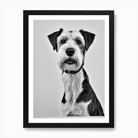 Irish Terrier B&W Pencil Dog Art Print