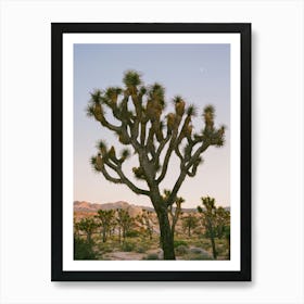 Joshua Tree Moon IX on Film Art Print