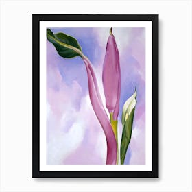 Georgia O Keeffe - Pink Ornamental Banana, 1939 Art Print