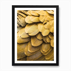 Golden Bird Feathers Art Print