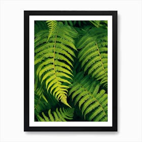 Pattern Poster Australian Tree Fern 2 Art Print