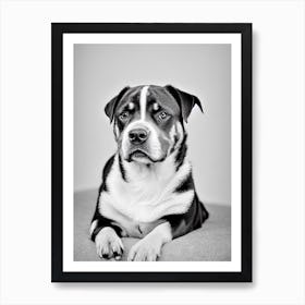 Rottweiler B&W Pencil Dog Art Print