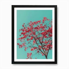 Red Tree Against Blue Sky 8 Art Print