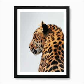 Leopard - Close Up 2 Art Print