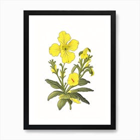 Sticky Monkeyflower Wildflower Vintage Botanical Art Print