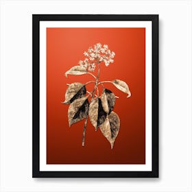 Gold Botanical Pagoda Dogwood on Tomato Red n.0148 Art Print