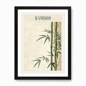 Bamboo Tree Minimal Japandi Illustration 2 Poster Art Print