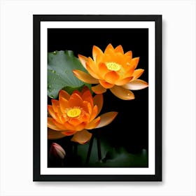 Lotus Flower 2 Art Print