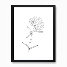 Peony Stem Line Art Print