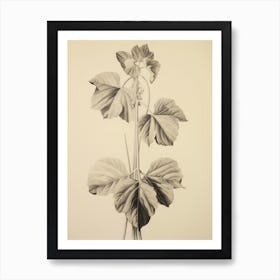 Leaf Sketch Drawing Art Print