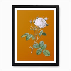 Vintage White Provence Rose Botanical on Sunset Orange n.0752 Art Print