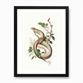 Vine Snake 1 Vintage Art Print