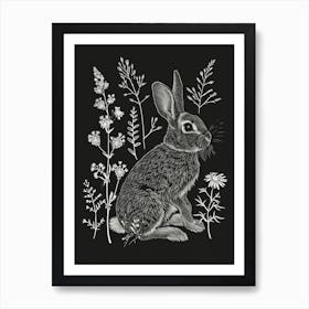 Mini Rex Rabbit Minimalist Illustration 3 Art Print