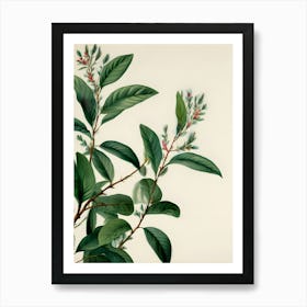 Tahitian Tea Art Print