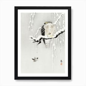 Hawk With Captured Ring Sparrow (1900 1930), Ohara Koson Art Print