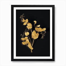 Vintage White Pea Flower Botanical in Gold on Black n.0180 Art Print