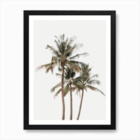 Neutral Palm Trees Art Print