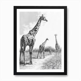 Giraffe Walking Down The Path Pencil Drawing 1 Art Print