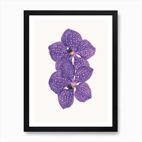 Flower VI Art Print