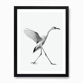 Greater Flamingo B&W Pencil Drawing 3 Bird Art Print