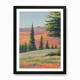 Grand Fir Tree Watercolour Art Print