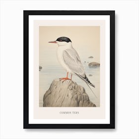 Vintage Bird Drawing Common Tern 1 Poster Art Print