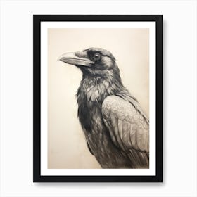 Vintage Bird Drawing Raven 1 Art Print