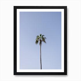 Palm tree, clear sky, Tenerife, Canary Islands Art Print
