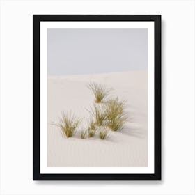 Desert Sand Grasses Art Print