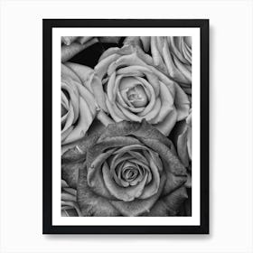 Vintage Style Roses Black And White Copy Art Print