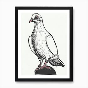 White Dove Art Print