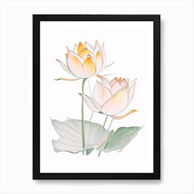 Double Lotus Pencil Illustration 2 Art Print