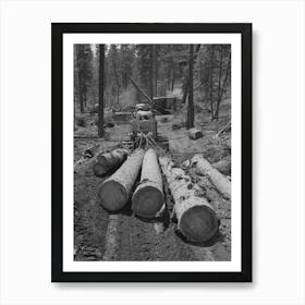 Grant County, Oregon, Malheur National Forest, Diesel Caterpillar Tractor Snaking Logs Out Of Woods By Russell Lee Art Print