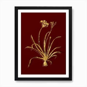 Vintage Allium Fragrans Botanical in Gold on Red n.0564 Art Print