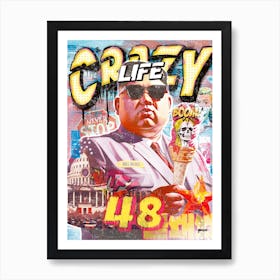 Crazy Life 48 Art Print