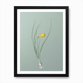 Vintage Daffodil Botanical Art on Mint Green Art Print