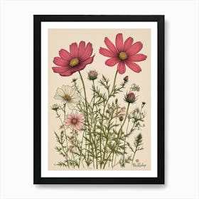 Botanical And Nature Inspired Art (8) Art Print