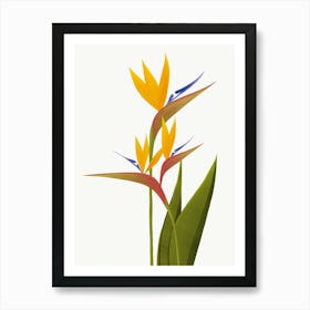 Bird Of Paradise Flower Illustration Art Print