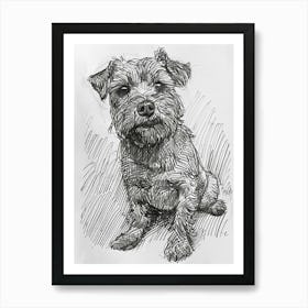 Norfolk Terrier Dog Line Sketch 1 Art Print