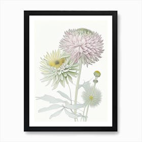 Chrysanthemum Floral Quentin Blake Inspired Illustration 2 Flower Art Print