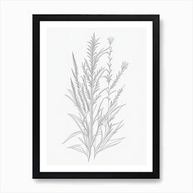 White Willow Herb William Morris Inspired Line Drawing Art Print