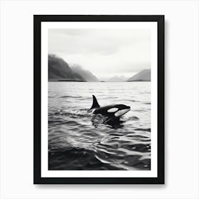 Centred Orca Whale Black And White Photography Art Print