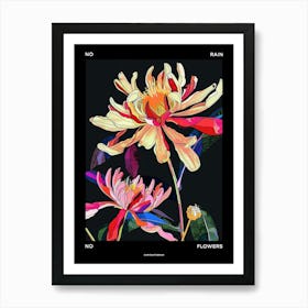 No Rain No Flowers Poster Chrysanthemum 1 Art Print