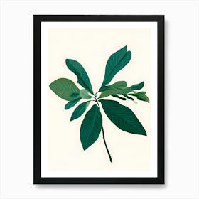 Green Leaf Art Print