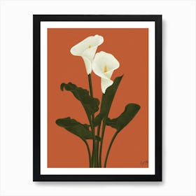 Flower Calla Lily Art Print