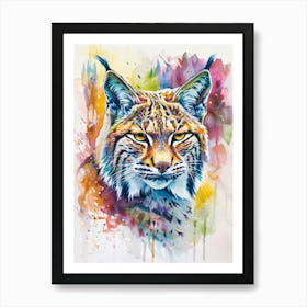 Bobcat Colourful Watercolour 1 Art Print