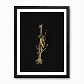 Vintage Narrow leaf Blue eyed grass Botanical in Gold on Black n.0459 Art Print