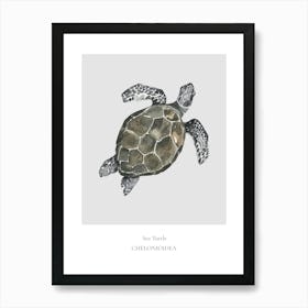 Sea Turtle Chelonia Art Print