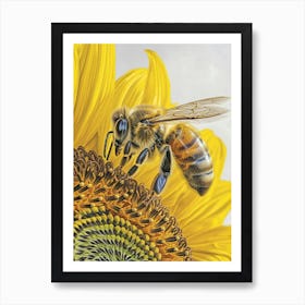 Halictidae Bee Storybook Illustration 9 Art Print